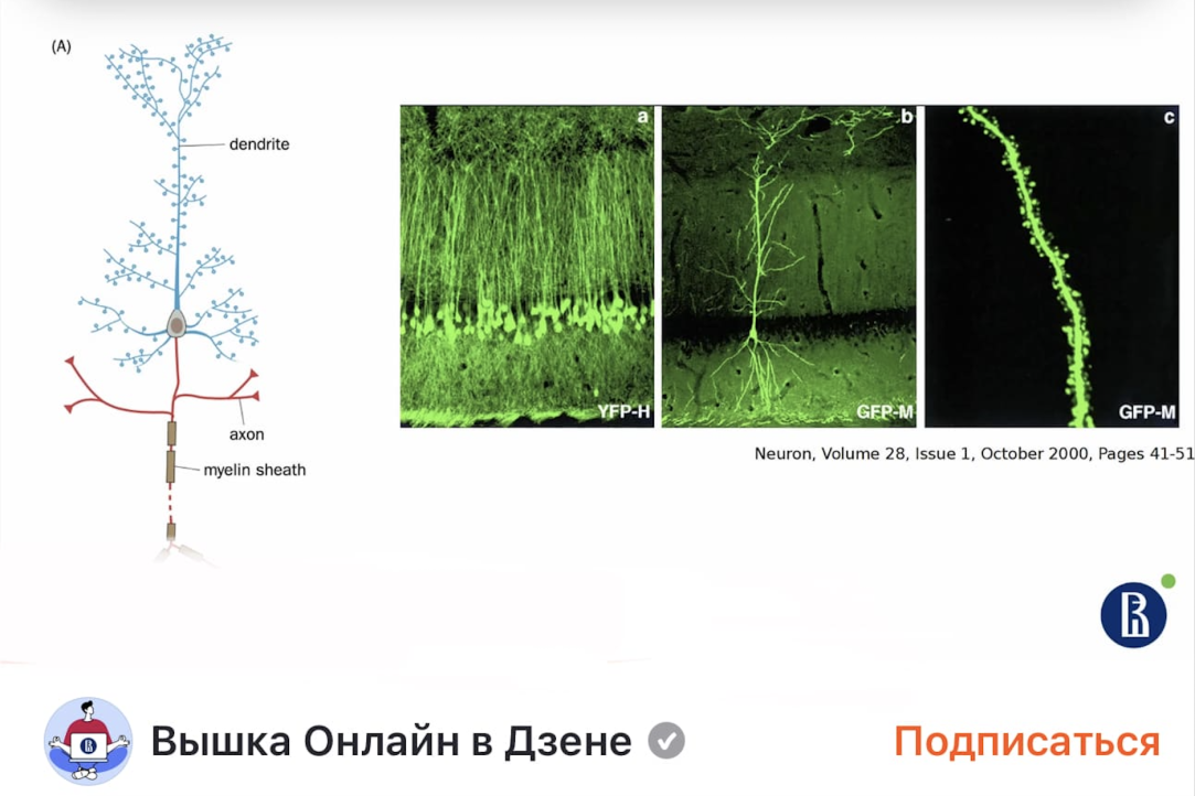 Материал лекции